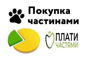 Новая услуга - рассрочка на все товары (без %)